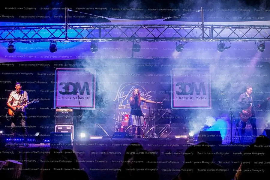 🎸✨ Buon anno dai The Lizards! ✨🎸